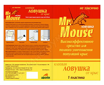 Mr.Mouse