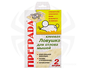 Преграда от крыс